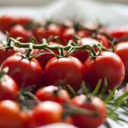 В Челябинскую область завезли 18 тонн зараженных помидоров