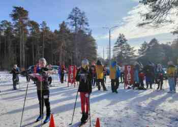 Спортивное ориентирование: спортсмены из Миасса завоевали медали