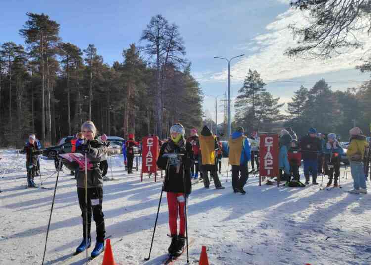 Спортивное ориентирование: спортсмены из Миасса завоевали медали
