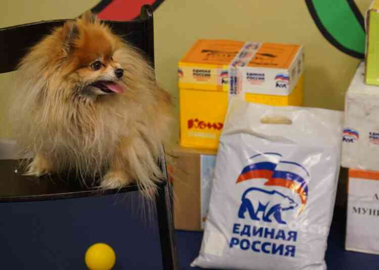 «Будем готовиться к открытию»