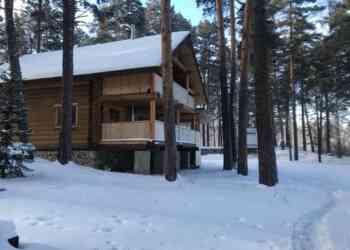 Приставы заставили должника снести самострой в миасском лесу