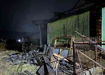 Дровник чуть не спалил дом в селе Новотагилка