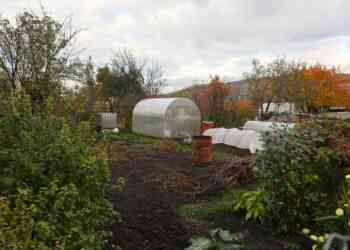 Лунный посевной календарь на май 2025