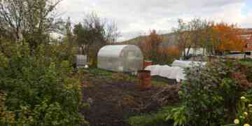 Фото из архива "МР"