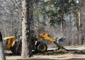 Работы по благоустройству парка Автозаводцев стартовали в Миассе