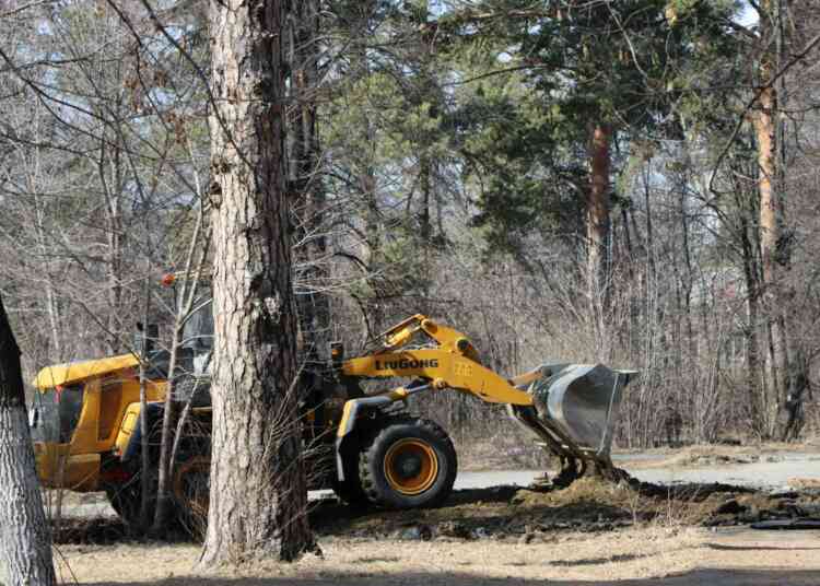 Работы по благоустройству парка Автозаводцев стартовали в Миассе