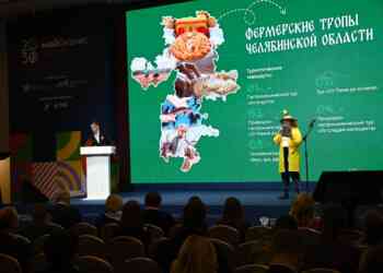 Сразу три челябинских проекта по поддержке предпринимательства прошли в финал Национальной премии «Мой бизнес»