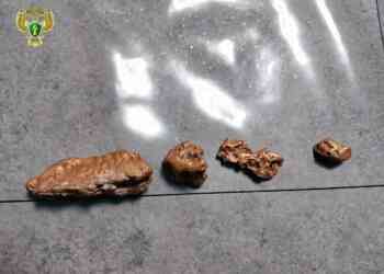 Более 1,8 кг золота и серебра изъято у жителя Миасса