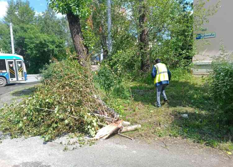 Последствия непогоды: в Миассе убирают упавшие ветви деревьев