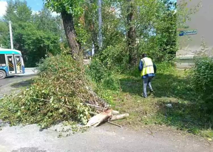 Последствия непогоды: в Миассе убирают упавшие ветви деревьев