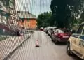 Водитель сбил пешехода и уехал в Миассе