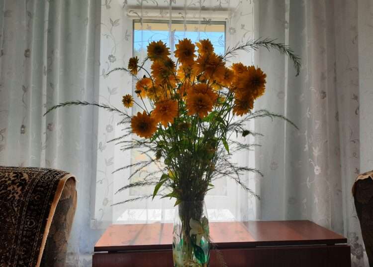 Букет к 1 сентября: во сколько обойдется цветочная радость?