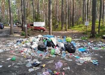 Нерадивые туристы устроили свалку на берегу Тургояка