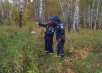 Миасские спасатели вывели из леса заблудившегося грибника