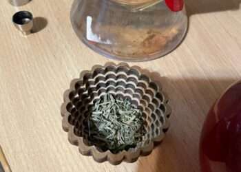 Жительница Миасса превратила квартиру в наркопритон