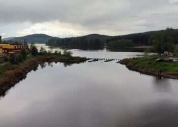 Уровнем воды в Поликарповском пруду обеспокоены жители Миасса