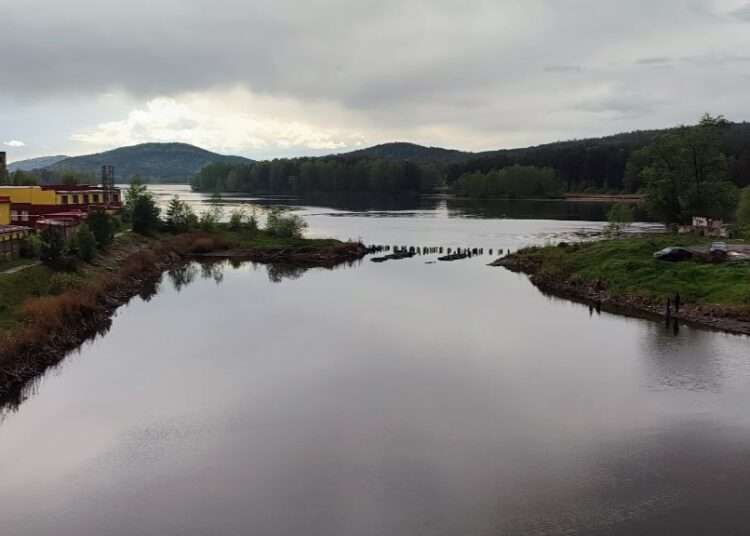 Уровнем воды в Поликарповском пруду обеспокоены жители Миасса