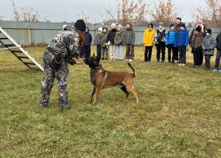 Миасские школьники познакомились с работой кинологов