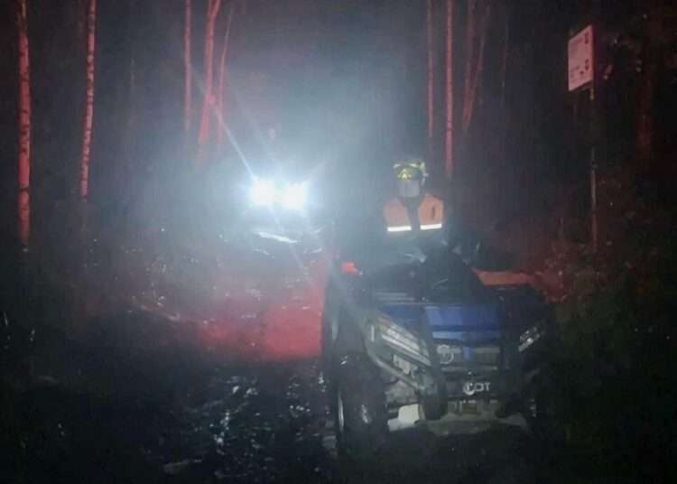 Жительница Миасса потерялась в лесу