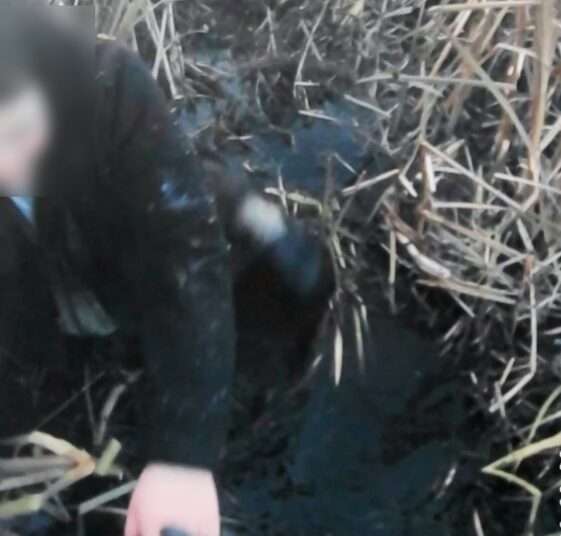 Миасские спасатели вытащили девушку из болота