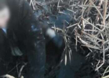 Миасские спасатели вытащили девушку из болота