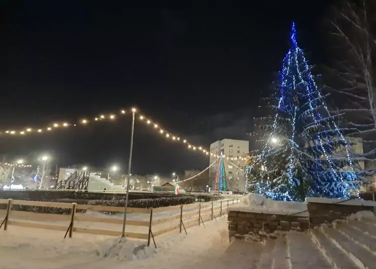 Как не ошибиться при выборе новогодней елки?