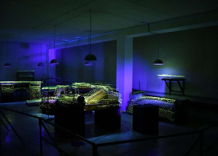 «Биостанция» засверкала в стенах музея Ильменского заповедника в Миассе