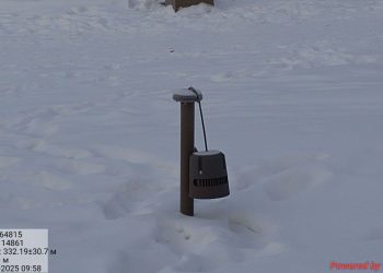 В парке Автозаводцев сломали фонарь