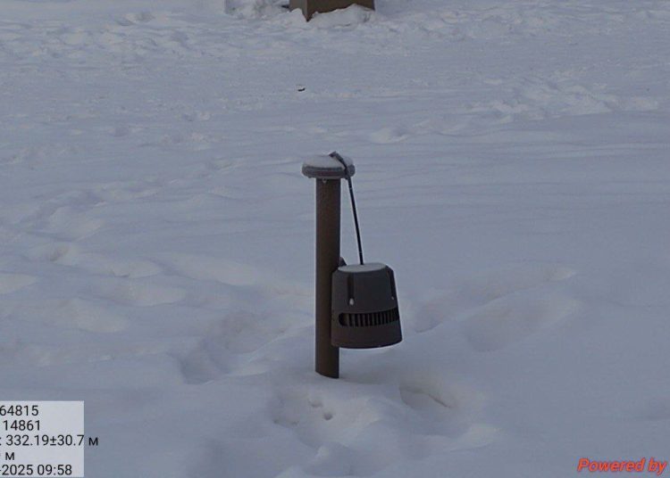 В парке Автозаводцев сломали фонарь