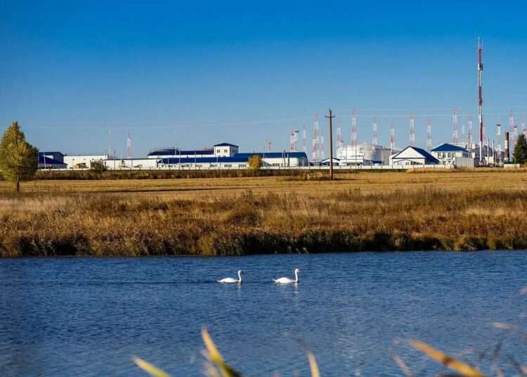 Благодаря нефтепроводчикам рыбы прибавилось