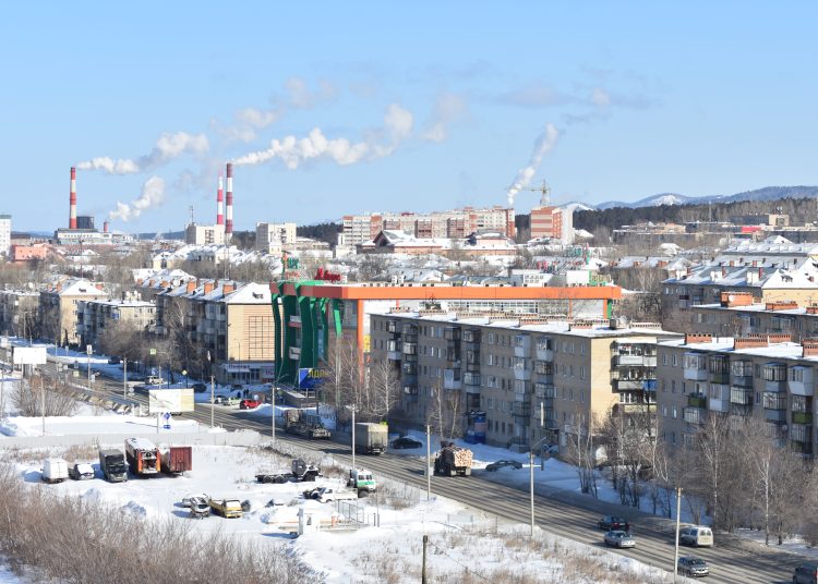 Чем удивил год Зеленой Деревянной Змеи?