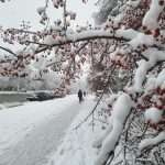 Потепление наступает в Челябинской области Потепление наступает в Челябинской области