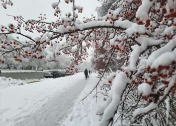 Потепление наступает в Челябинской области
