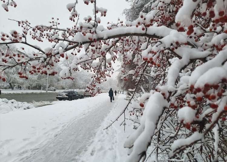 Потепление наступает в Челябинской области