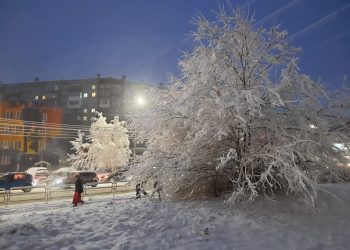 Туманы и изморозь ожидаются в Челябинской области