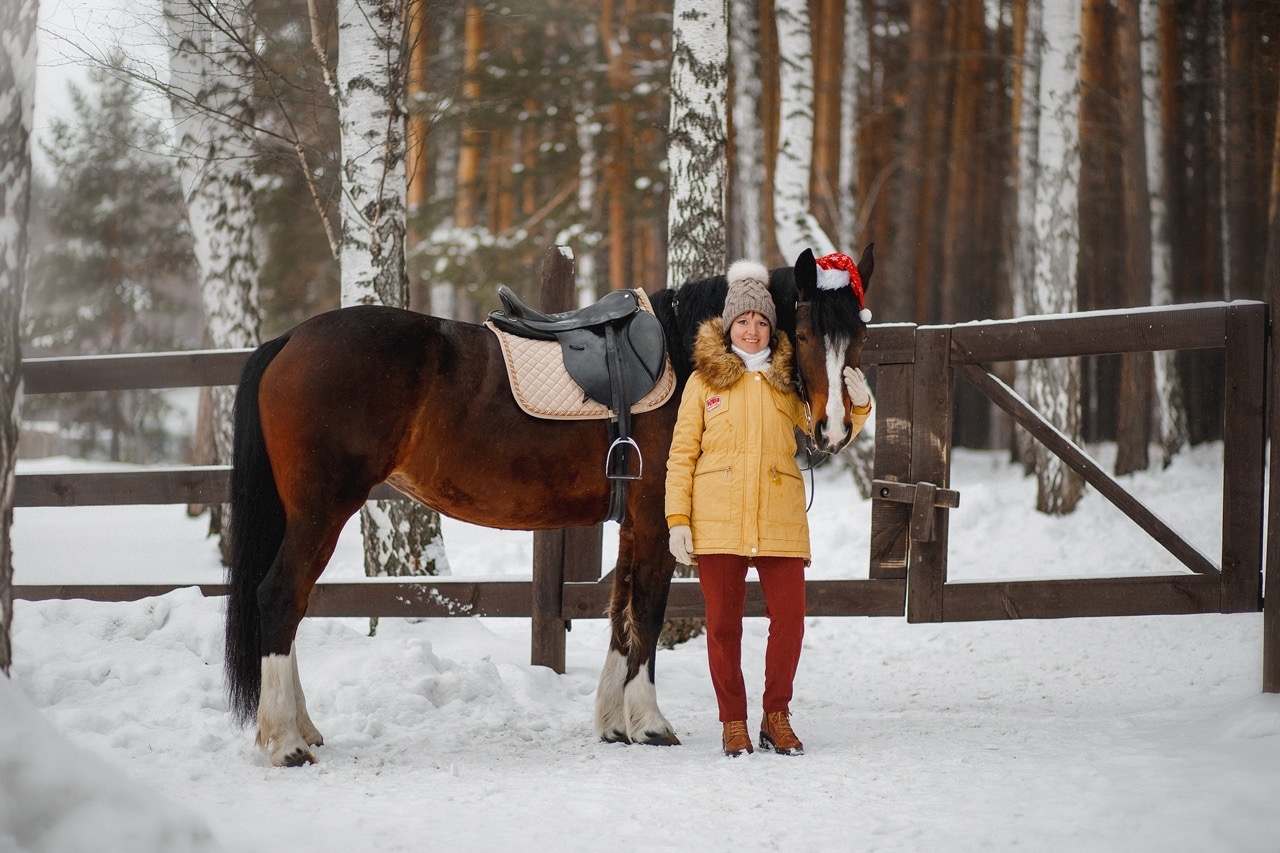 «Первая Конная»: где лошади оздоравливают, развивают и вдохновляют