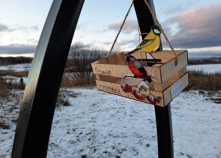 Чем можно и нельзя кормить птиц зимой?