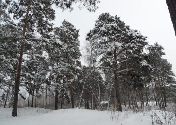 Морозы идут на убыль в Челябинской области