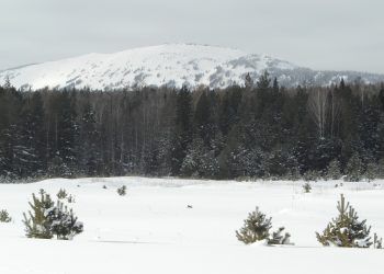 Морозы не отпускают Челябинскую область