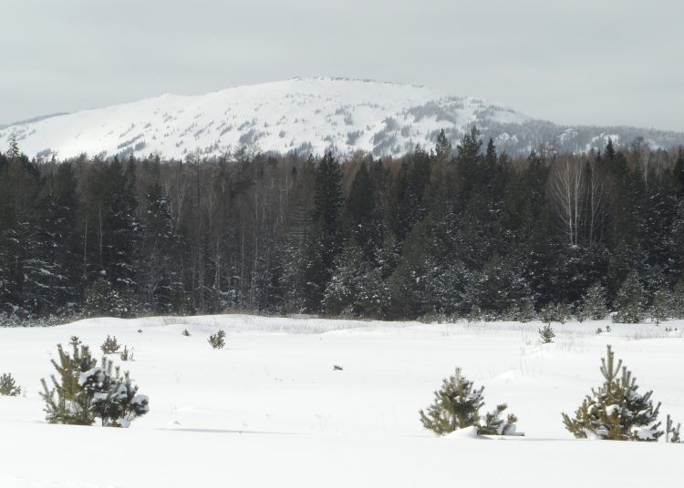 Морозы не отпускают Челябинскую область