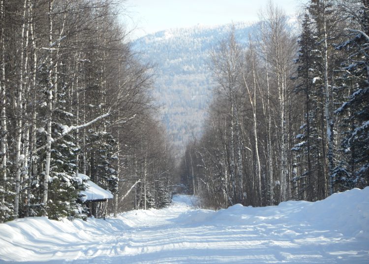 Большие снега ожидаются в Челябинской области