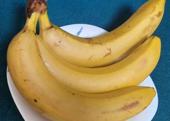 Ростом не вышел: мелкорослые бананы запретят продавать в России