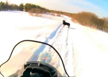 Как миасские спасатели провели 23 февраля?