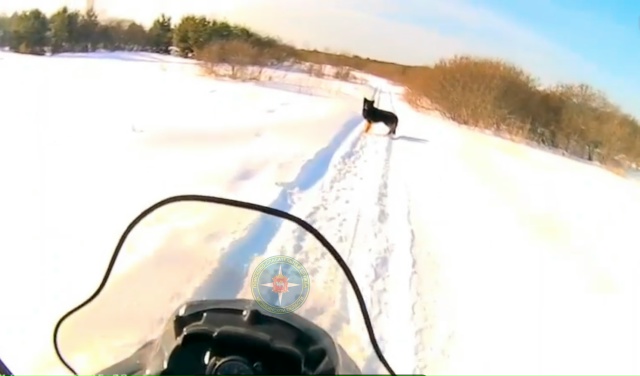 Как миасские спасатели провели 23 февраля?