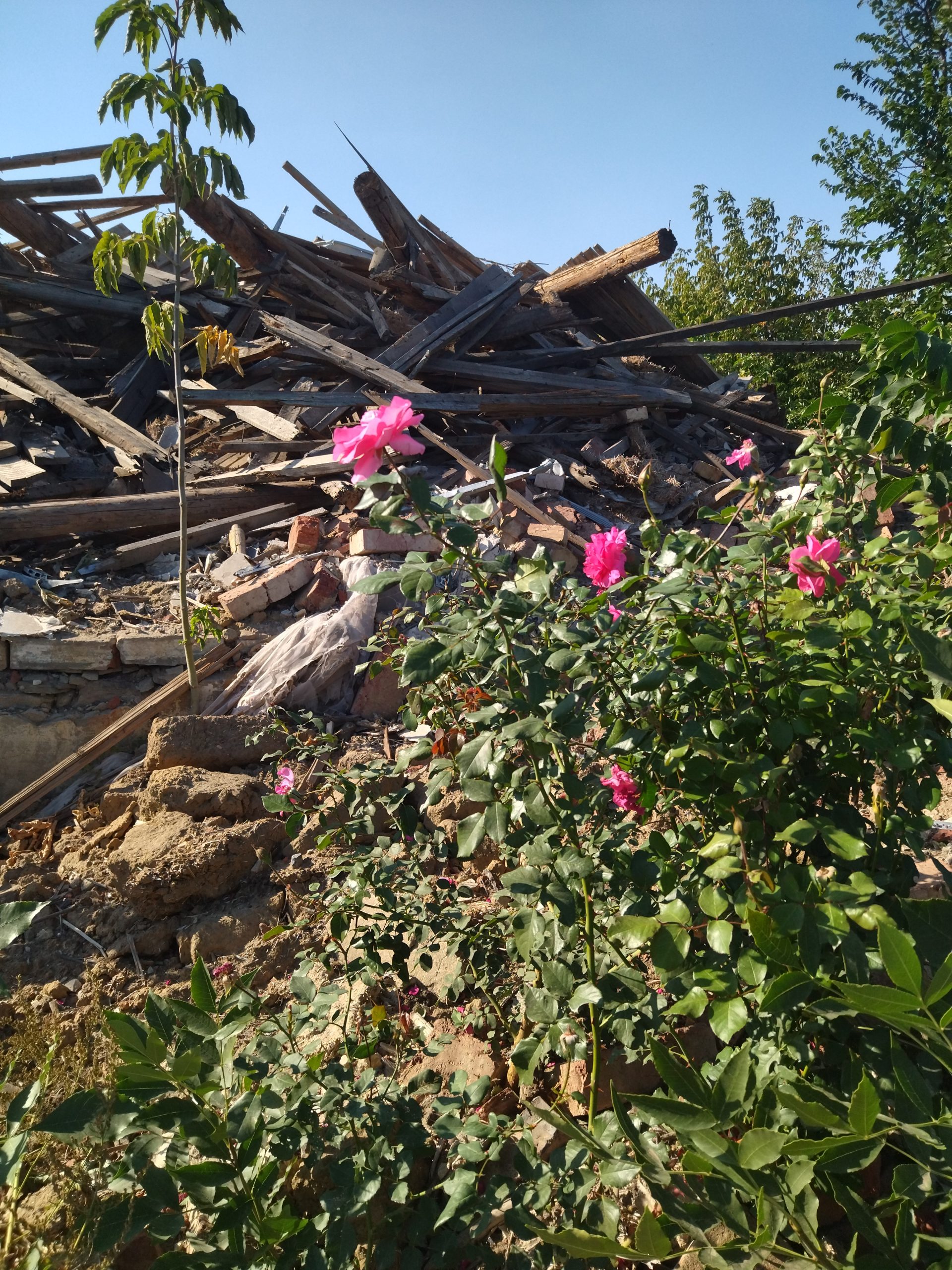 Среди холодных окопов найдется место теплу