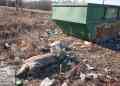Детектив в Октябрьском: возле мусорного контейнера обнаружена мертвая свинья