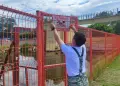 Знаки о запрете купания обновили в Миассе