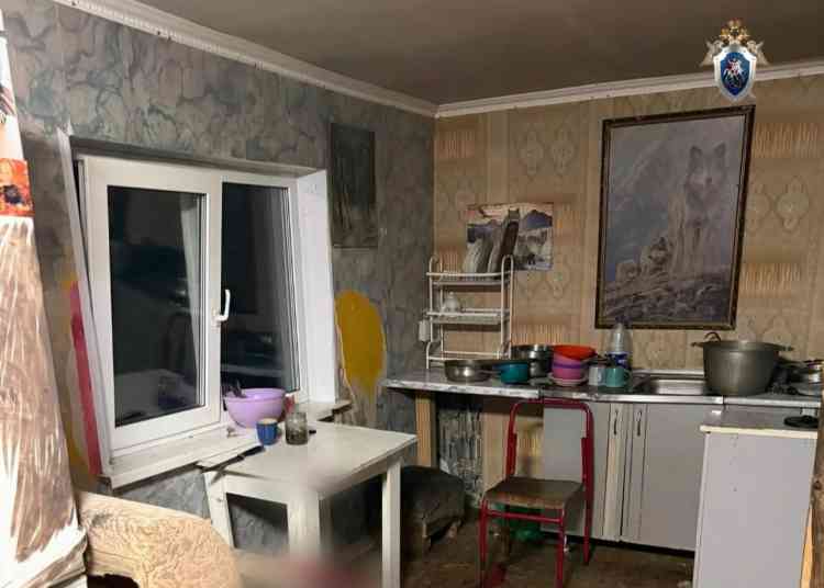 Жительницу Миасса будут судить за убийство сожителя