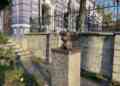 j5kCQ7y4tBGIX4mNgw3c5iBH5G72nCKI4kcWm5lMHgfLDcB